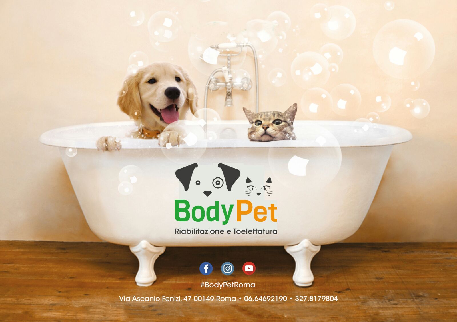 Body Pet Centro di Fisioterapia riabilitativa e Toelettatura professionale del cane e del gatto  Portuense